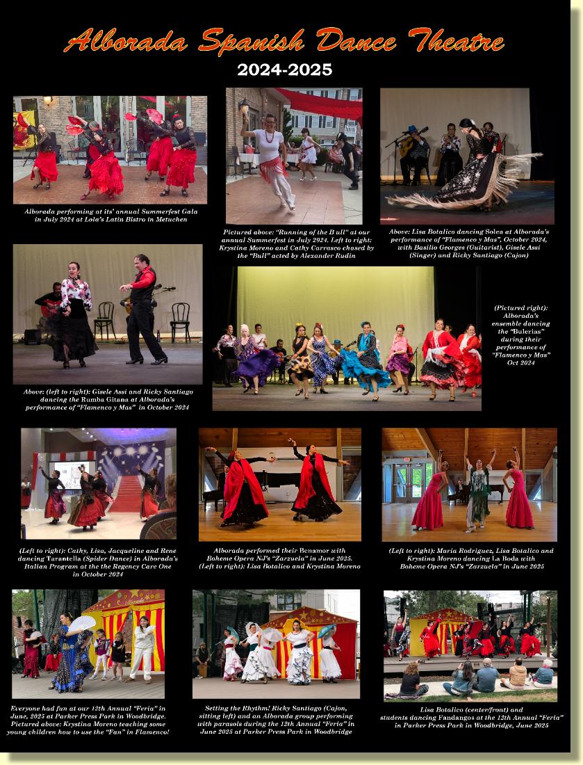 BOARD11AlboradaHistory